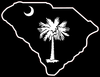 South Carolina Palmetto Image